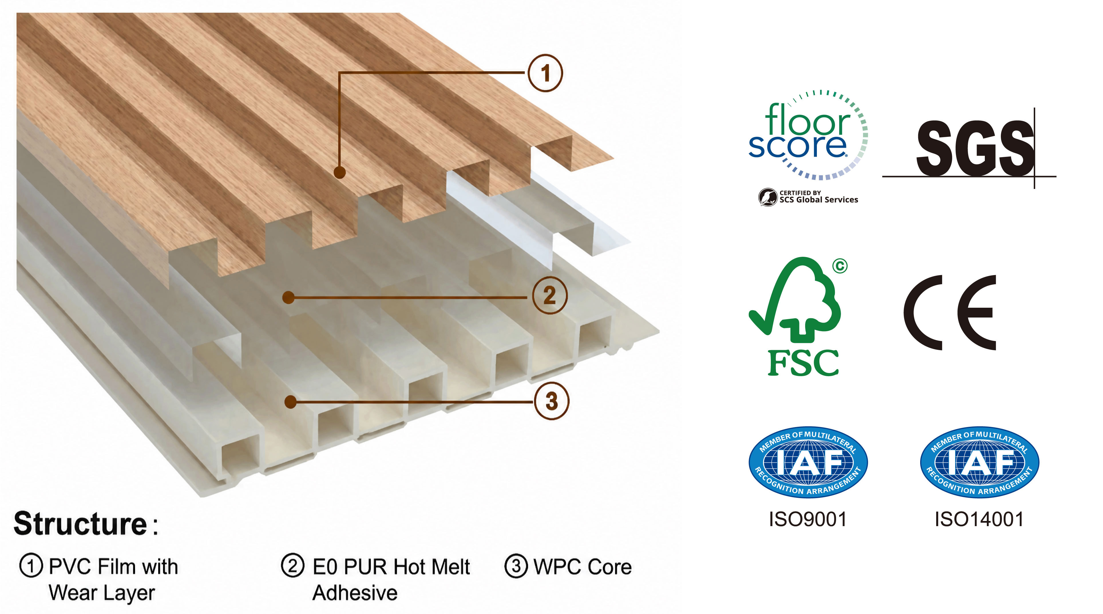 WPC Wall Panel Structure Diagram-01 WPC Wall Panel Structure Diagram-01