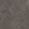 2531 Stone Plastic Composite Floor