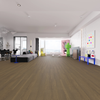 Urban Oak Wood Plastic Flooring 