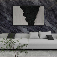 23103 Digital Printing SPC Wall Panel 